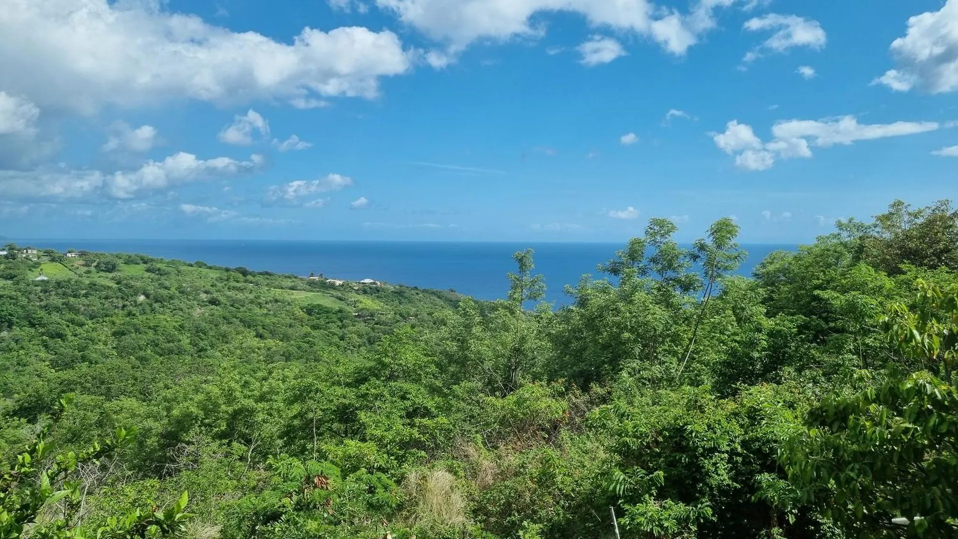 Lauramar Avocado - Vue Mer Et Montagne Le Morne aux Boeufs Tatil Evi