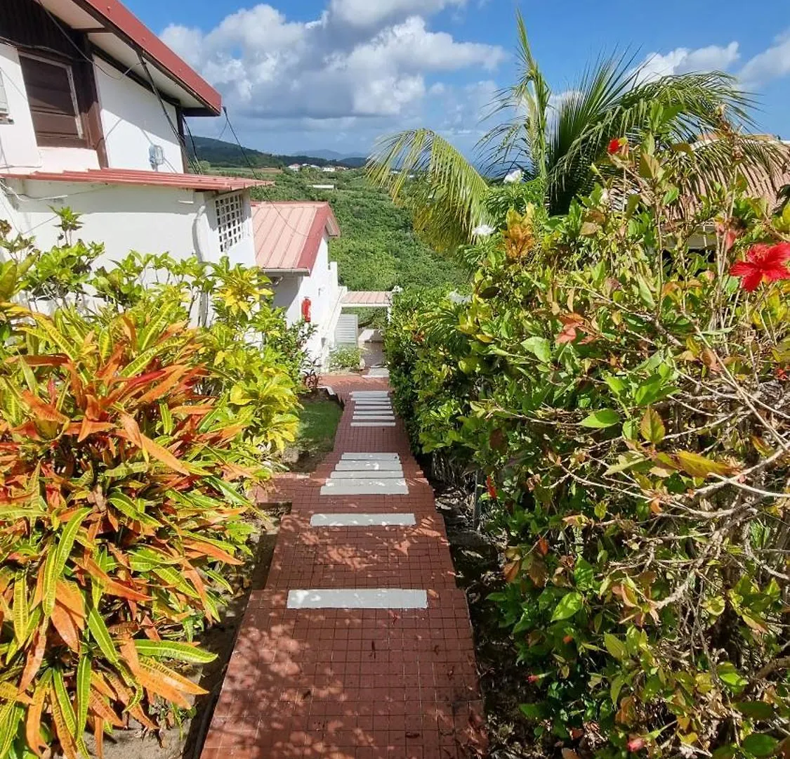 Lauramar Avocado - Vue Mer Et Montagne Le Morne aux Boeufs